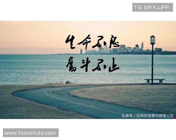 璀璨星光下的绿茵传奇最耀眼的足球明星背后的故事与成就